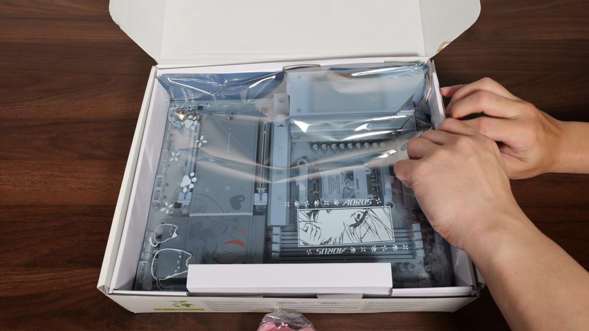 Gigabyte B850 AORUS ELITE-P ICE Anti-static Bag