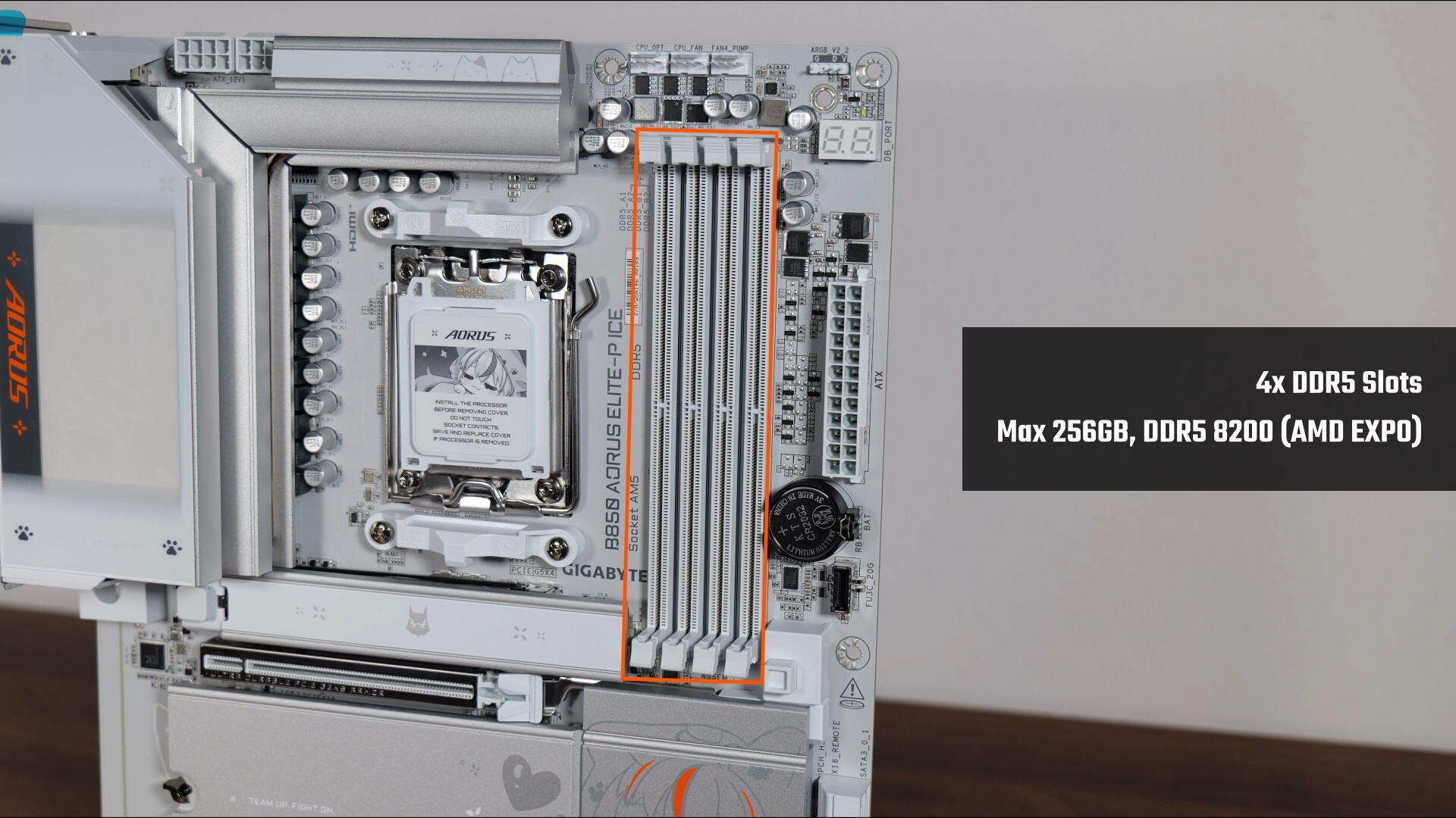 Gigabyte B850 AORUS ELITE-P ICE Memory Support