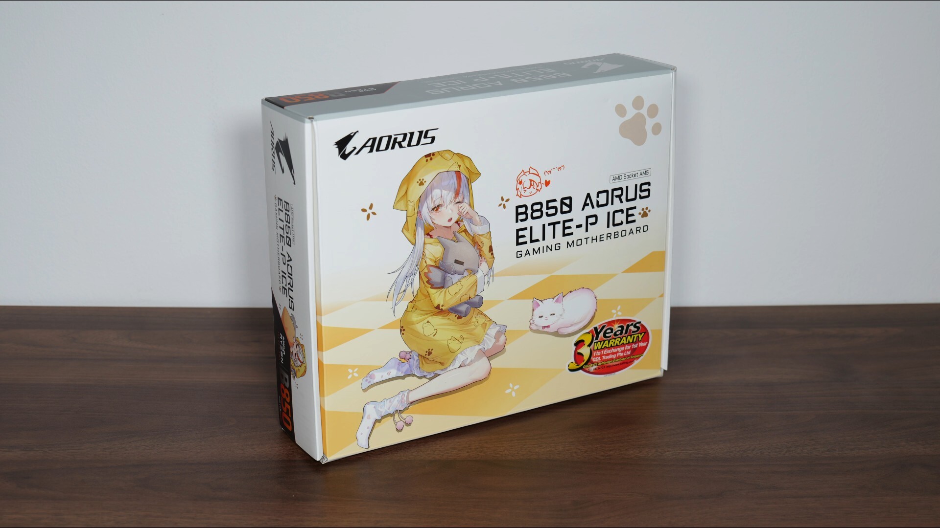 Gigabyte B850 AORUS ELITE-P ICE Packaging (Front)