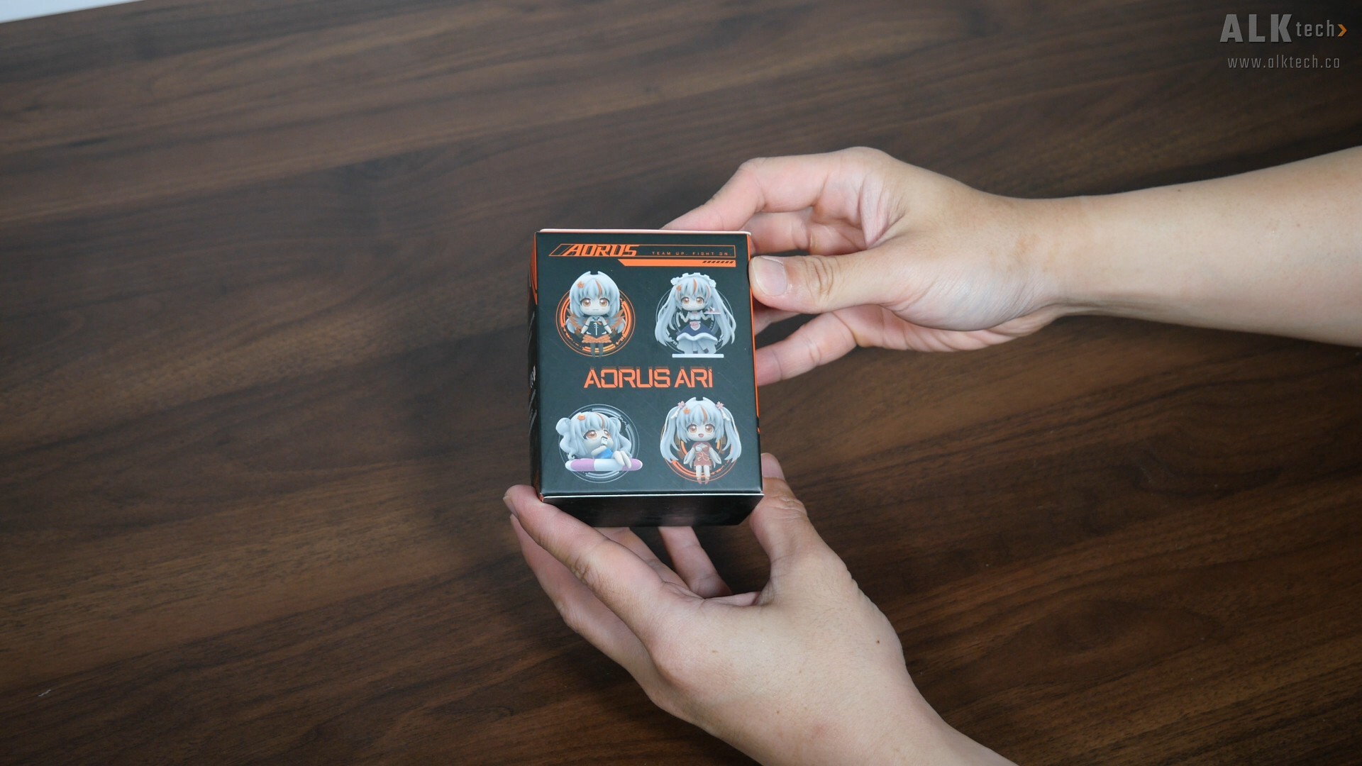 Gigabyte Ari Blind Box (2)