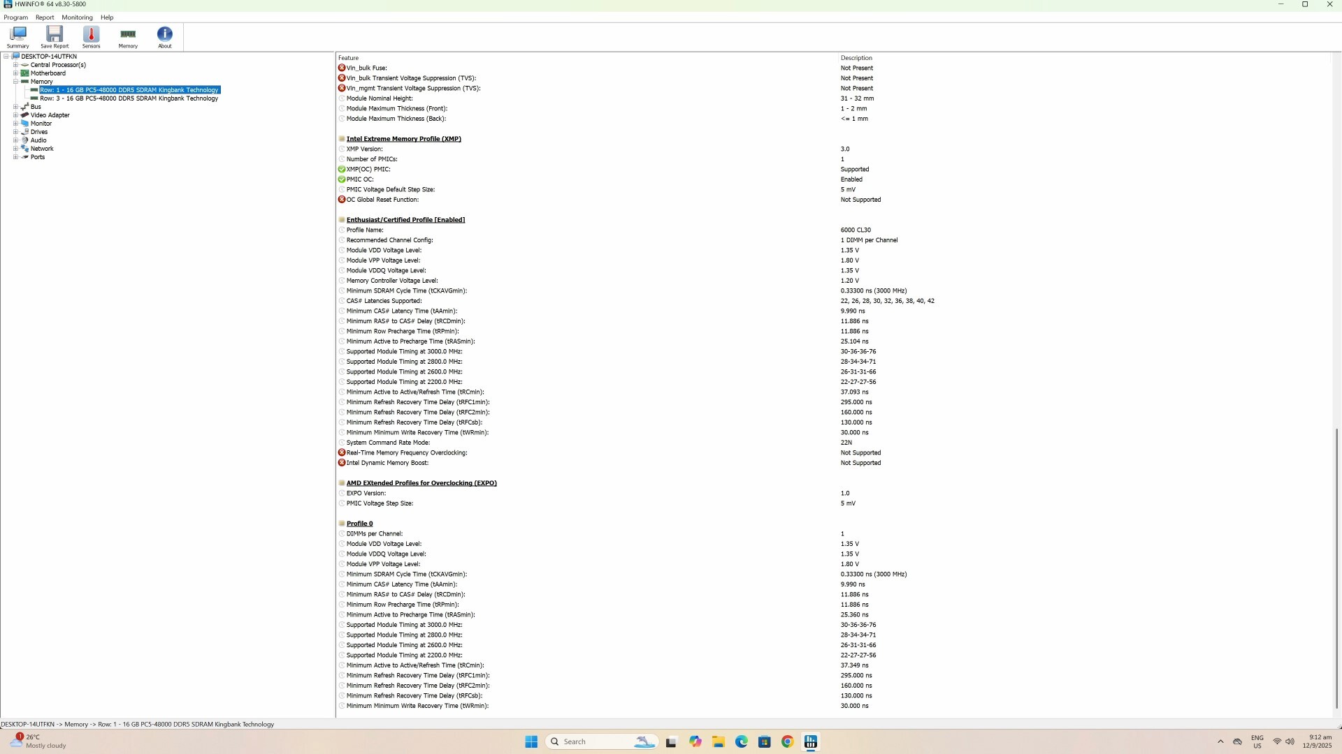 KingBank DDR5 SoarBlade HWiNFO64 Screenshot (2)
